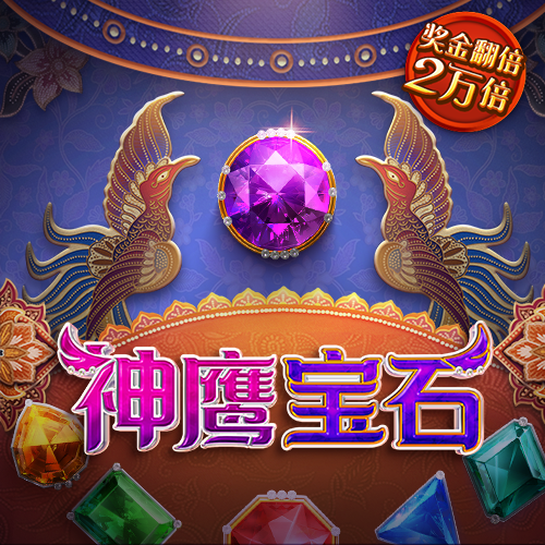 3y体育